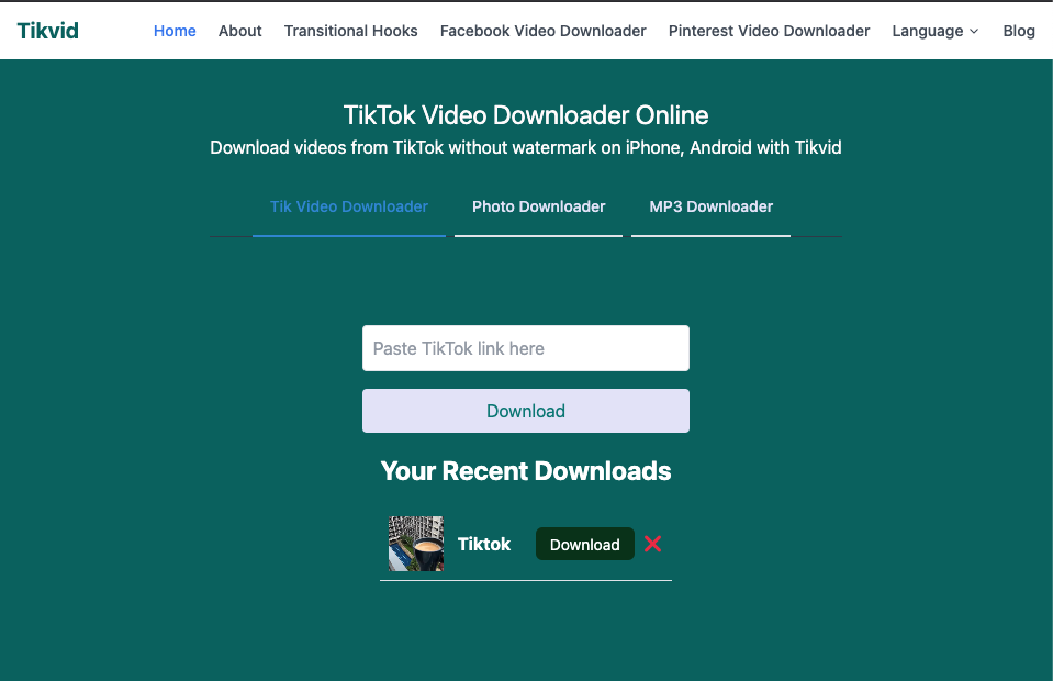 TikVid β TikTok Video Downloader
